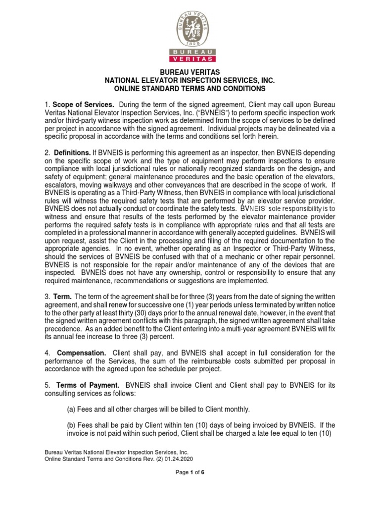 Bureau Veritas National Elevator Inspection Services, Inc. (BVNEIS