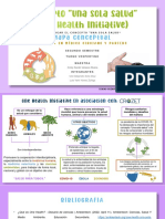 One Health Initiative - Mapa Conceptual - Sota - Yanes PDF