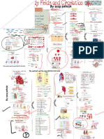 Circulatory Systems and Body Fluids