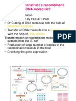 618 Restriction Enzymes and Vectors