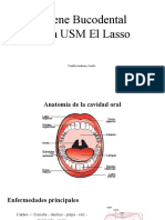 Intervención: Higiene Oral USM Lasso