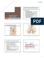 Thuốc dùng qua đường hô hấp PDF