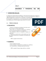 U.D. 1. Introducción A La Estructuras Biológicas y Principios de Anatomía
