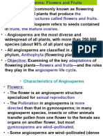 2.1 Angiosperms Flowers & Fruits