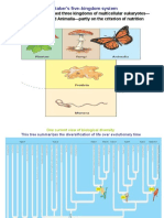 3 - Plant Diversity