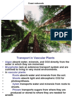 Transport in Plants