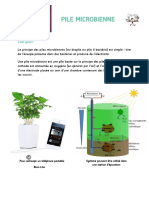 Pile Microbienne 0 PDF