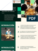 Blank Company Profile Business Presentation in Green Beige Color Blocks Style