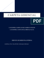 Carpeta Gerencial