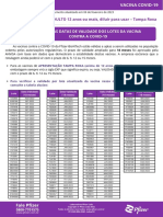 Validade Por Lotes - Pfizer PDF