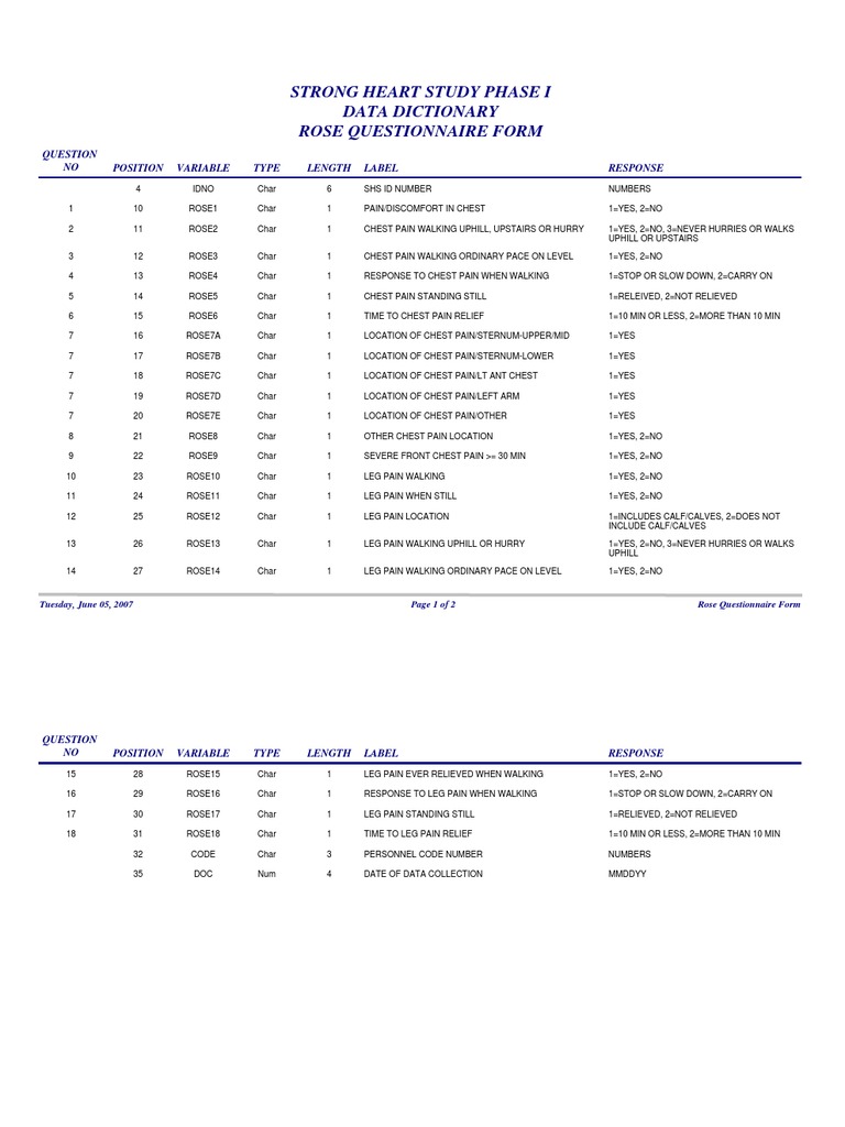 Rose Questionnaire Data Dictionary | PDF