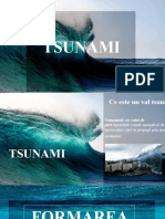 Proiect Tsunami