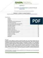 Feldkamp, Cañada, Vázquez-Amábile - 2019 - Approximation To The Carbon Footprint of Bovine Meat in Argentina Contenido PDF