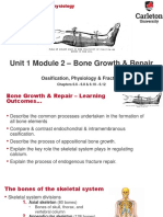 BIOL3307 - Unit1Mod2 - Bone Growth & Repair1