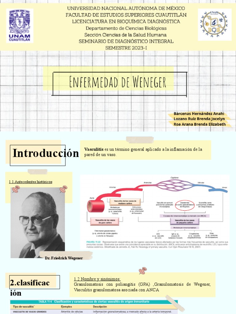 Enfermedad de Wegener | PDF | Especialidades Medicas | Epidemiología