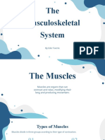 The Musculoskeletal System