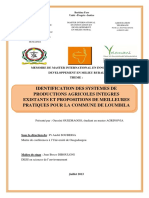 IDENTIFICATION-DES-SYSTEMES-DE-PRODUCTIONS-AGRICOLES-INTEGRES-EXISTANTS-ET-PROPOSITIONS-DE-MEILLEURES-PRATIQUES-POUR-LA-COMMUNE-DE-LOUMBILA