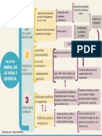 Sinoptico Arbol de Vida y Quimica