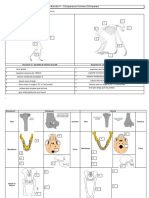 Activité 11 - Comparaison Homme Chimpanzé 2 PDF