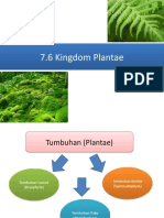 7.6 Kingdom Plantae (Tumbuhan)