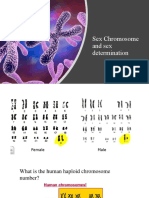 Sex Chromosome and Sex Determination