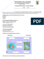 Examenes Naturales Grado 4 Periodo 1 2023