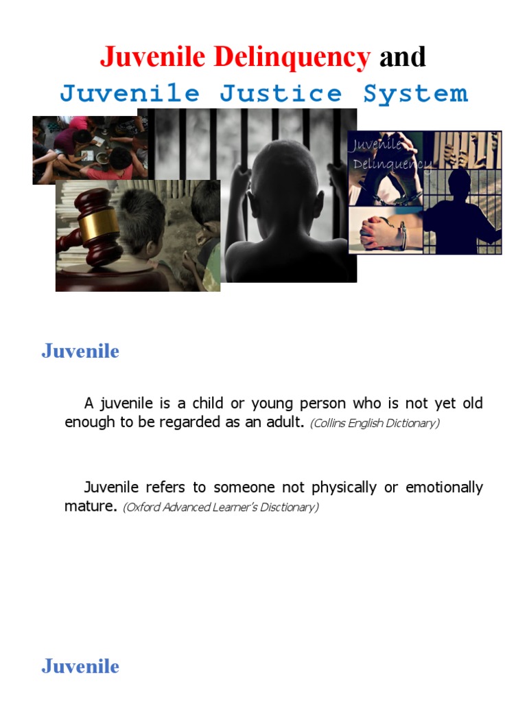 Understanding Juvenile Delinquency | PDF | Juvenile Delinquency | Anti ...