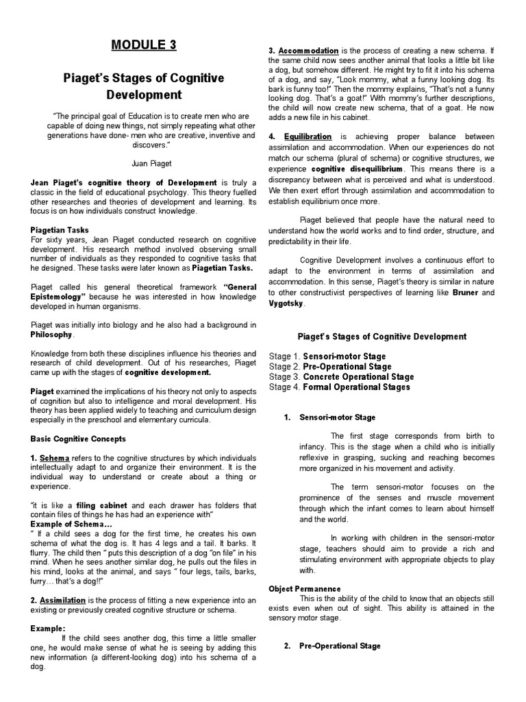 M3 PIAGET's STAGES OF COGNITIVE DEVELOPMENT PDF Schema (Psychology