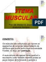 Vii - Aula Sistema Muscular