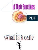 PLANT-AND-ANIMAL-CELL.ppt