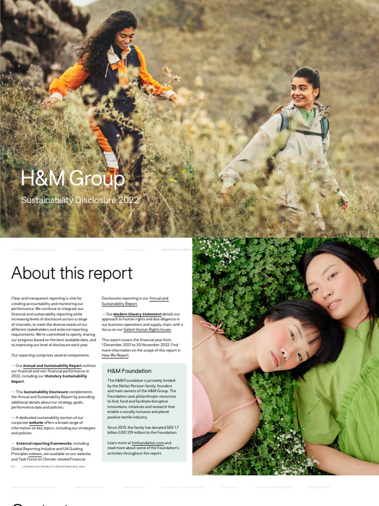 Article H&M | PDF | Sustainability | Life Cycle Assessment