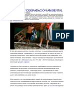 Pobreza y Degradación Ambiental2.0 PDF