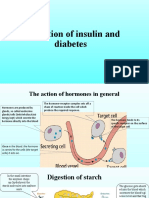 The Action of Insulin and Diabetes PPT LL