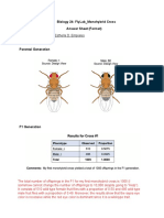 Biology 24 Flylab - Drosophila - Monohybrid Cross - Answer Sheet Format