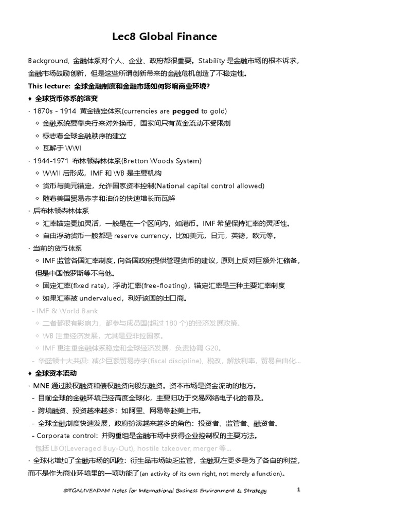 IBES NOTES Lec8 Global Finance | PDF