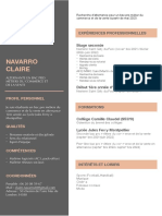 CV PDF