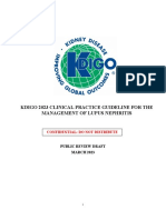 KDIGO 2023 Lupus Nephritis Guideline - Public Review - 9 Mar 2023 PDF
