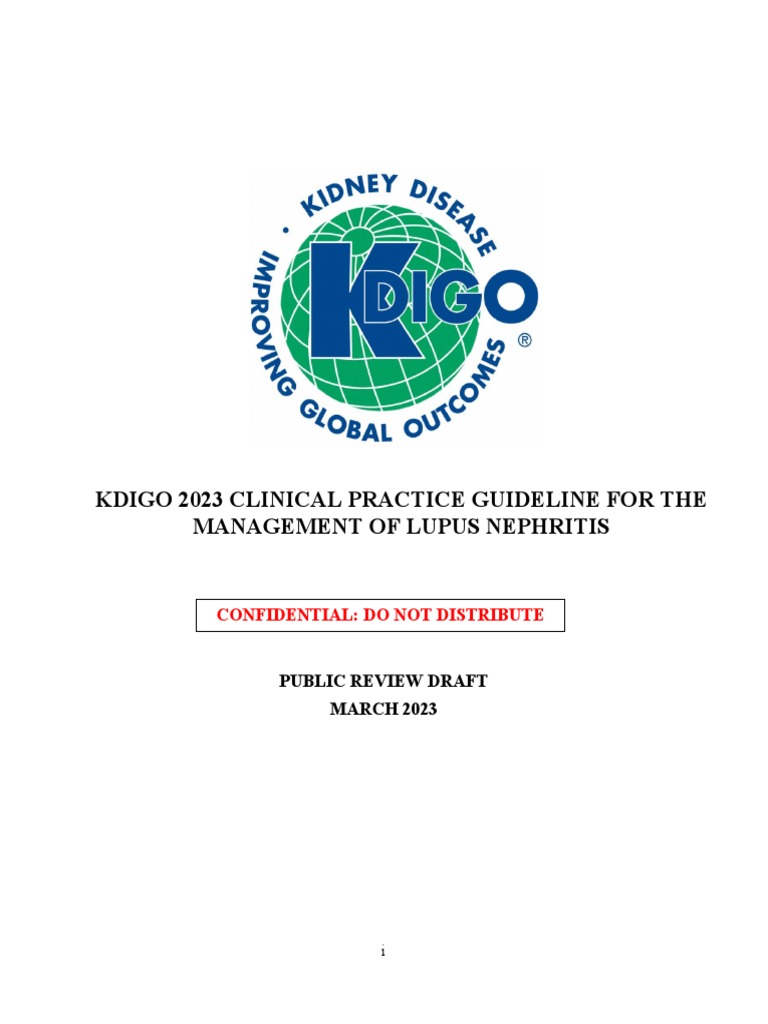 kdigo-2023-lupus-nephritis-guideline-public-review-9-mar-2023-pdf