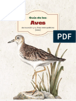 Guia - Aves - Asunción y Áreas Metropolitanas