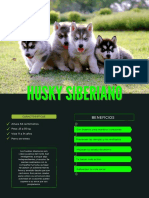 Husky Siberiano PDF