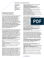 Paragrafta Yapı Çıkmış Sorular 3 PDF