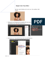 Color Tone Effect