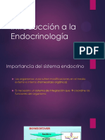 Introducción A La Endocrinología