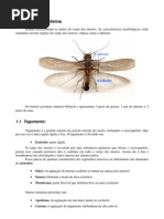 Apostila_Entomologia_Geral