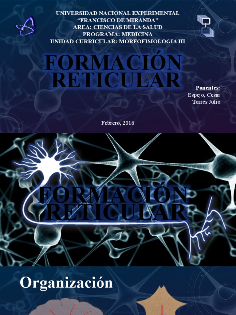 11.4E: Formación Reticular – Todo sobre la Energía Reticular, Entalpía ...