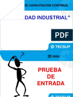 Curso Seguridad Industrial Liderazgo Salud Etica Valores Riesgos Integridad Caracteristicas Lider Vision Aprendizaje PDF