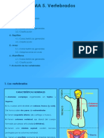 5 - Vertebrados PDF