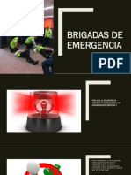 Brigadas de Emergencia-Responsabilidades y Roles PDF