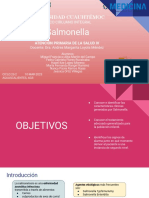 Salmonella PDF