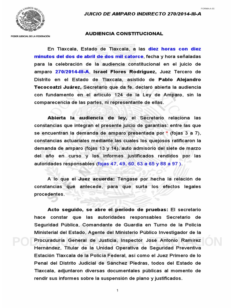 Informe Justificado en Juicio de Amparo | PDF | Caso de ley | Judicaturas